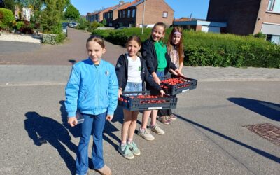 Aardbeienactie weer een succes!
